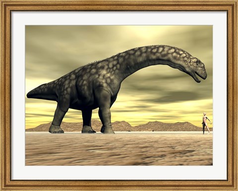 Framed Large Argentinosaurus dinosaur face to face with a human Print
