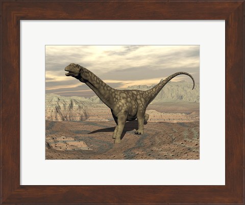 Framed Large Argentinosaurus dinosaur walking on rocky terrain Print