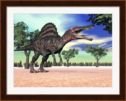 Framed Spinosaurus standing in the desert with trees Print