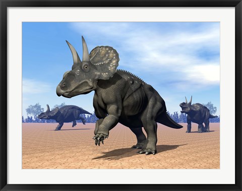 Framed Three Nedoceratops in the desert by daylight Print