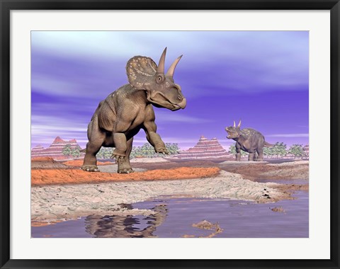 Framed Two Nedoceratops next to water in a colorful rocky landscape Print