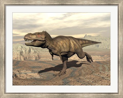 Framed Tyrannosaurus Rex dinosaur running across rocky terrain Print
