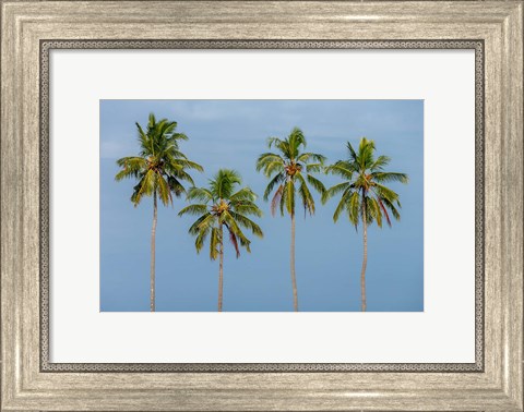 Framed Coconut trees in Backwaters, Kerala, India Print