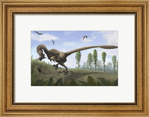Framed Saurornitholestes seeks prey in burrows Print
