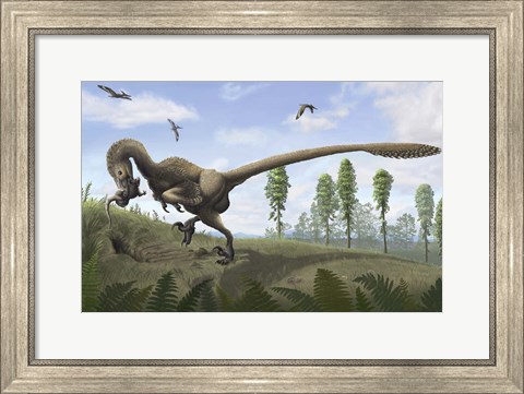 Framed Saurornitholestes seeks prey in burrows Print
