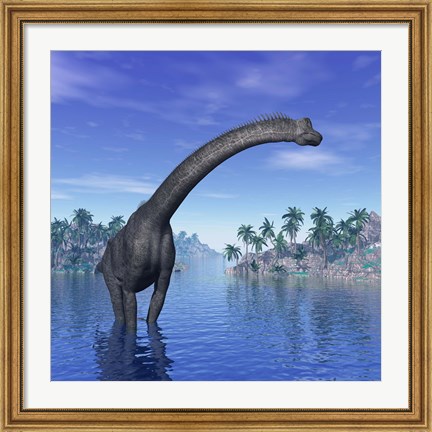 Framed Brachiosaurus dinosaur in a tropical climate Print