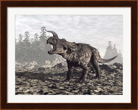 Framed Einiosaurus dinosaur roaring in nature Print