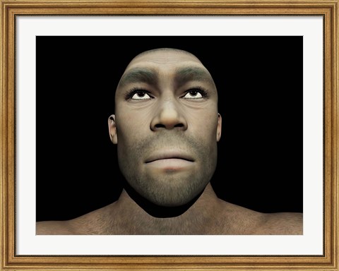 Framed Portrait of a male Homo Erectus Print