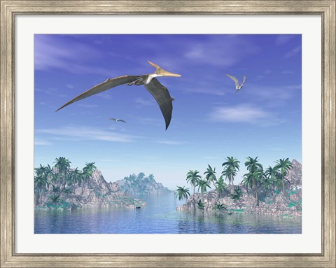 Framed Pteranodon birds flying above islands with palm trees Print