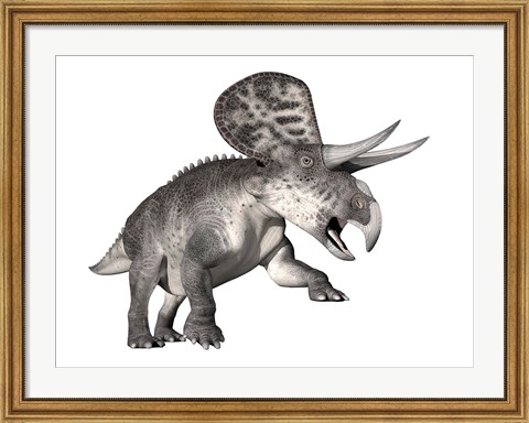 Framed Zuniceratops dinosaur, white background Print