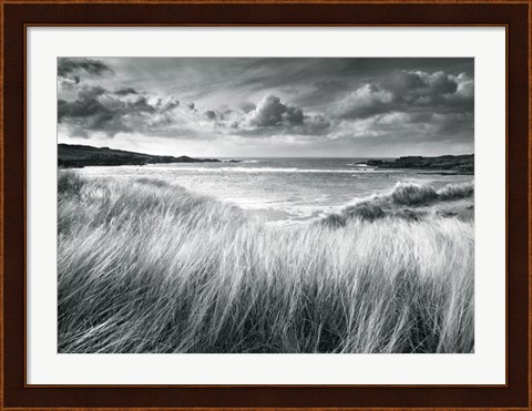 Framed Sea Grass Print