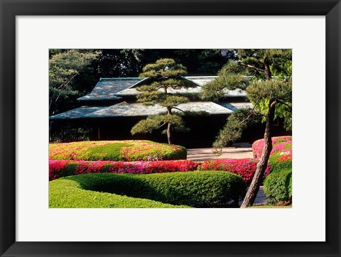 Framed Azaleas at the Imperial Palace East Gardens, Tokyo, Japan Print