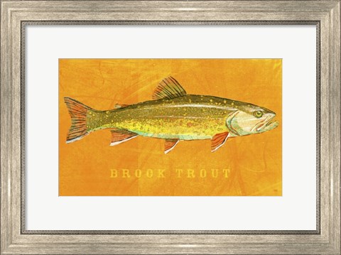 Framed Brook Trout Print