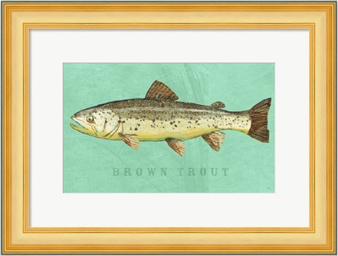 Framed Brown Trout Print
