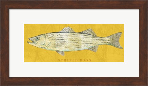 Framed Striped Bass Print