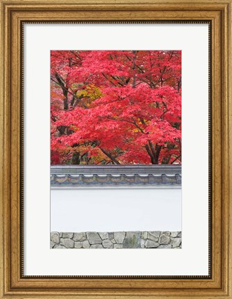 Framed Eikando Temple, Kyoto, Japan Print