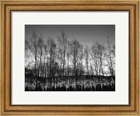 Framed Watery Reflection Print