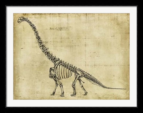 Framed Brachiosaurus Study Print