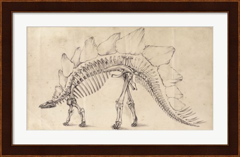 Framed Dinosaur Study III Print
