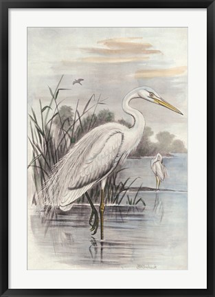 Framed Oversize White Heron Print