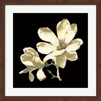 Framed Midnight Magnolias I Print