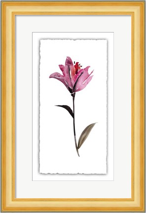 Framed Floral Watercolor II Print