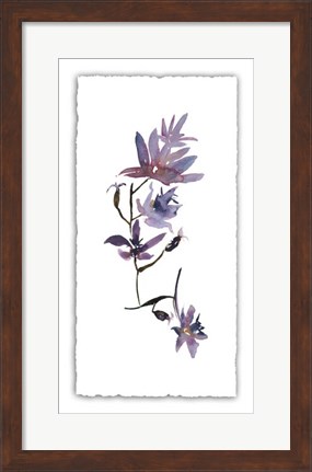 Framed Floral Watercolor IV Print