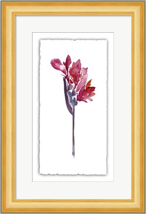 Framed Floral Watercolor V Print