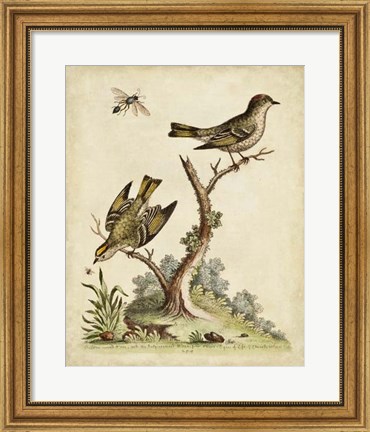 Framed Companions in Nature III Print