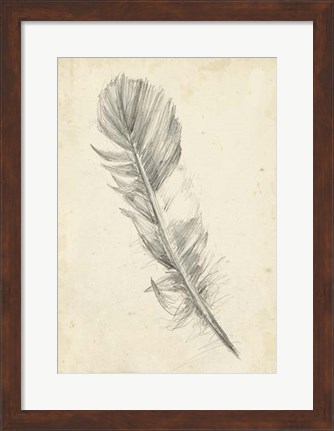 Framed Feather Sketch I Print