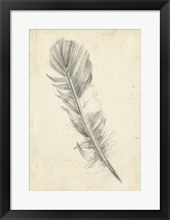 Framed Feather Sketch I Print