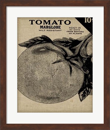 Framed Vintage Seed Pack V Print