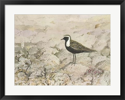 Framed Perched Print