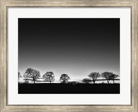 Framed Treeline Light Print