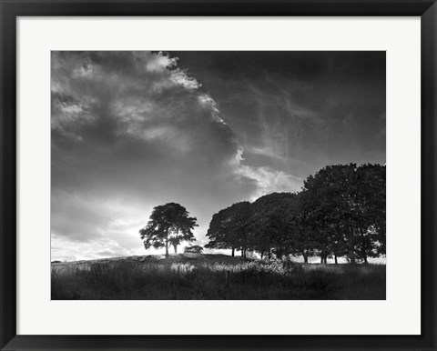 Framed Touched by Sunlight Print