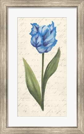Framed Twin Tulips IV Print