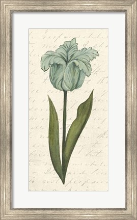 Framed Twin Tulips VI Print