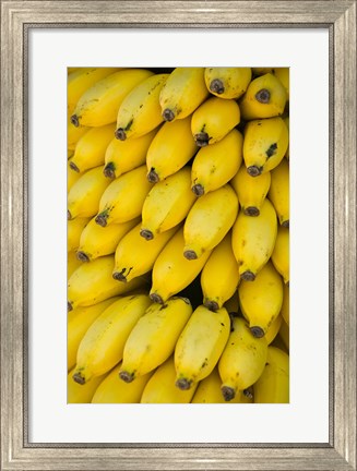 Framed Oman, Dhofar Region, Salalah. Local bananas for Sale Print