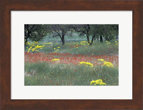 Framed Rural Landscape and Wildflowers, Cappadocia, Turkey Print