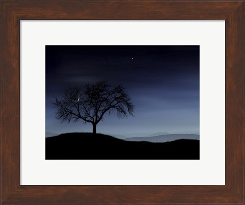 Framed Tree and the Moon Print