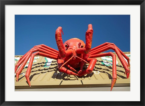 Framed Crustacean, Giant Lobster, Stanley, Tasmania, Australia Print