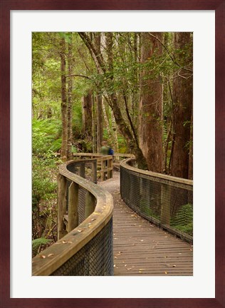 Framed Footpath Through Forest to Newdegate Cave, Tasmania, Australia Print