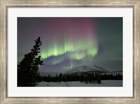 Framed Red and Green Aurora Borealis over Carcross Desert, Canada Print