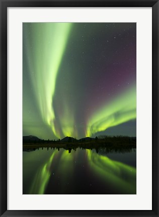 Framed Aurora borealis over Fish lake, Whitehorse, Yukon, Canada (vertical) Print