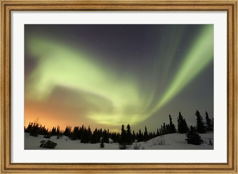 Framed Aurora borealis over Ogilvie Mountains Print