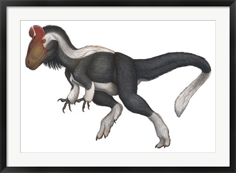 Framed Cryolophosaurus Print