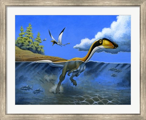 Framed Megapnosaurus Dinosaur Goes for a Swim Print