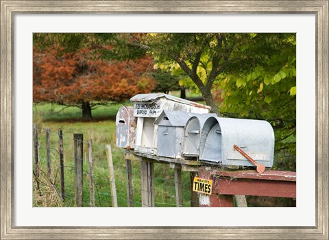Framed Letterboxes, King Country, North Island, New Zealand Print