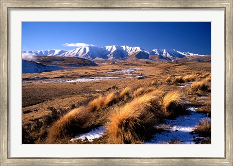 Framed Tussocks and Hawkdun Range, Central Otago, New Zealand Print