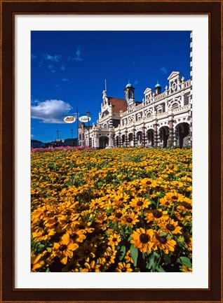 Framed Historic Railway Station and field of flowers, Dunedin, New Zealand Print
